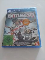 Battleborn
