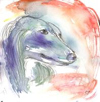 Aquarell: Hund II