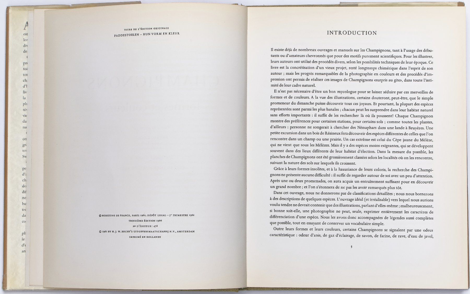 Libri: CHAMPIGNONS "Formes et Couleurs" H. Kleijn – Usato da Onex venduto da gonsla 5