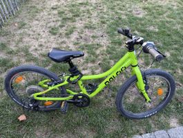 Kinderfahrrad Naloo 20 Chameleon
