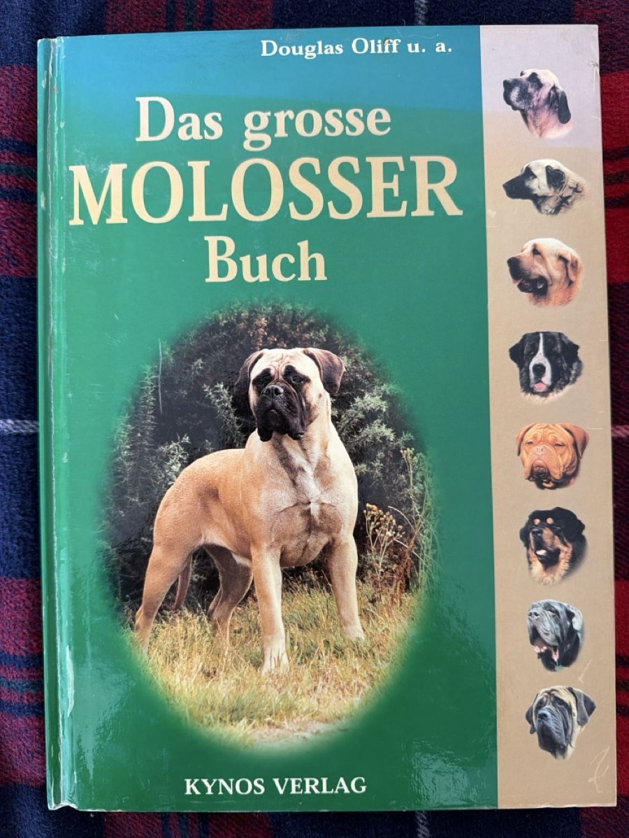 Libri: Cane Corso & Molosser Hunde Bücher Sammlung – Usato da Zürich venduto da d.reitzer 5