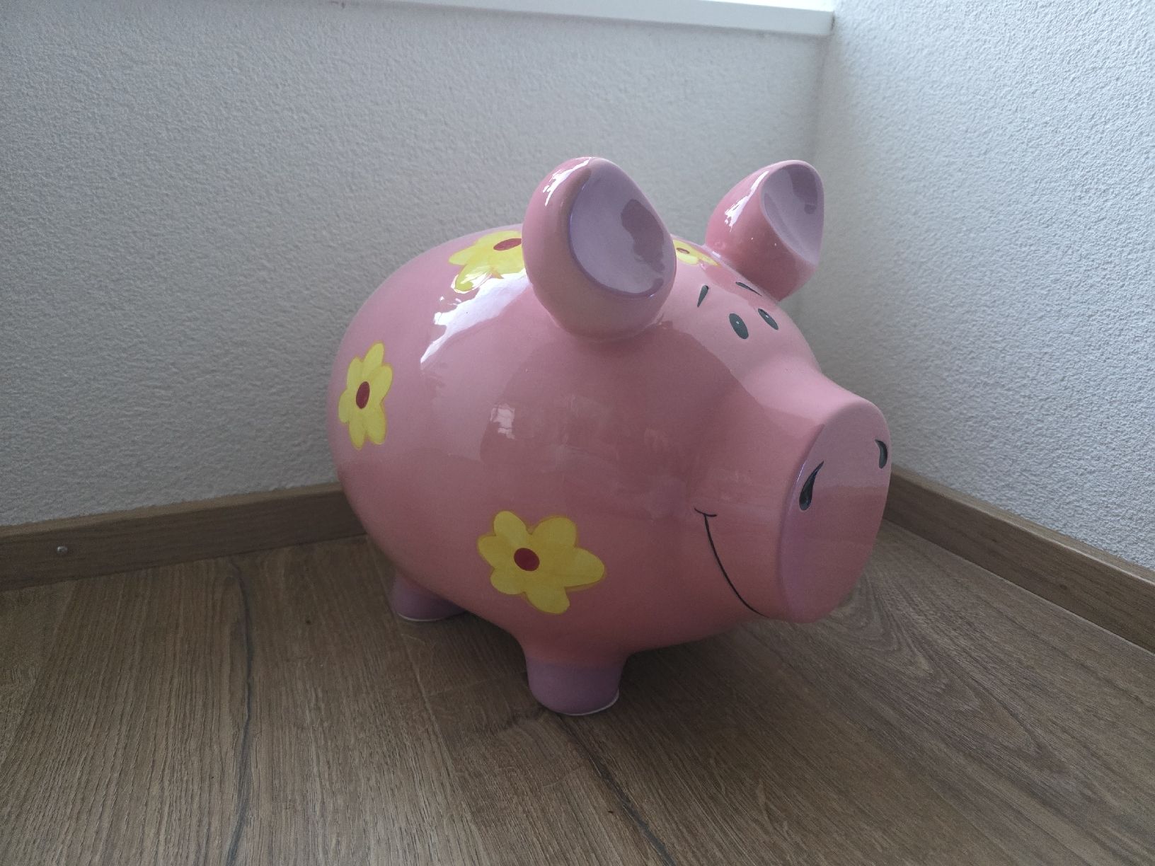 Salvadanai: XXL Sparschwein – Usato da Ziefen venduto da sch_nx7p 1