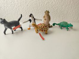 Schleich Neu Die Schule der magischen Tiere Set Sammlung