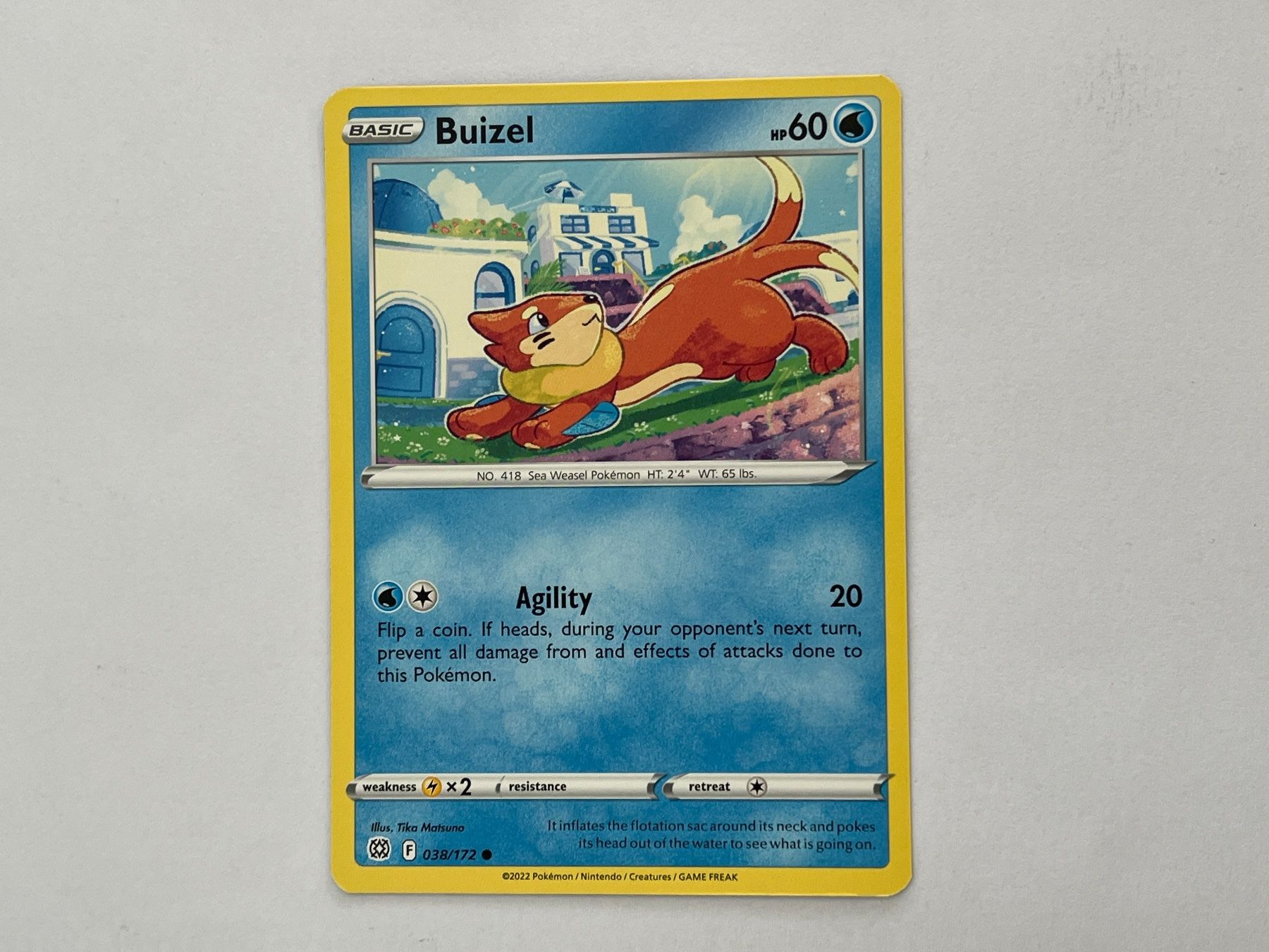 Pokémon Carte collezionabili: Pokemon Buizel 038/172 – Usato da Oberegg venduto da Alepokemon