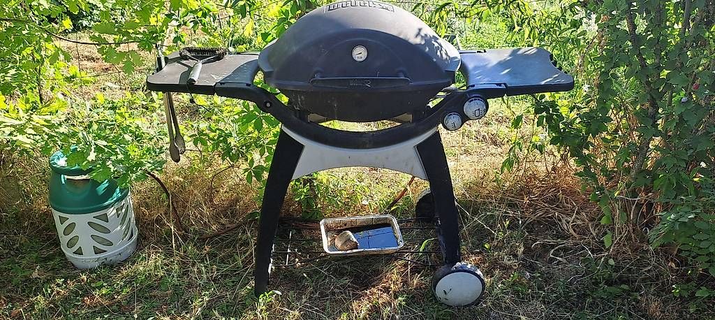 Valigie & Borse: Barbecue weber gaz d occasion – Usato da La Croix (Lutry) venduto da edo_n8wf