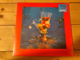 Constellatia – Magisterial Romance