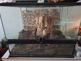 Terrarium Exo Terra 60x45x45 cm gebraucht