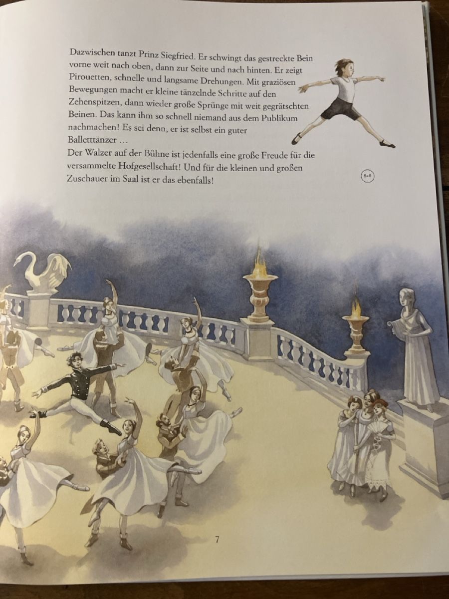 Libri: Schwanensee- Marko Simsa – Usato da Avenches venduto da Zurcal 3