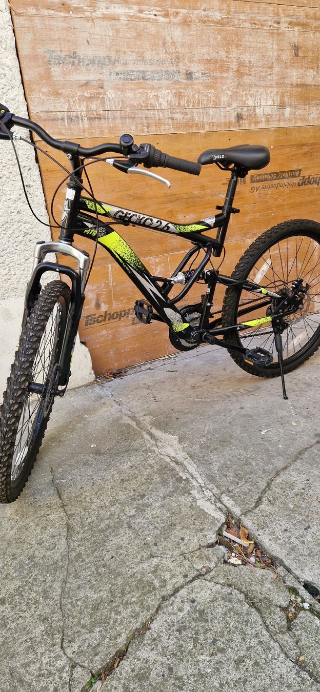 Biciclette: Velo GECKO  – Usato da Romanshorn venduto da fag_gnd6 2