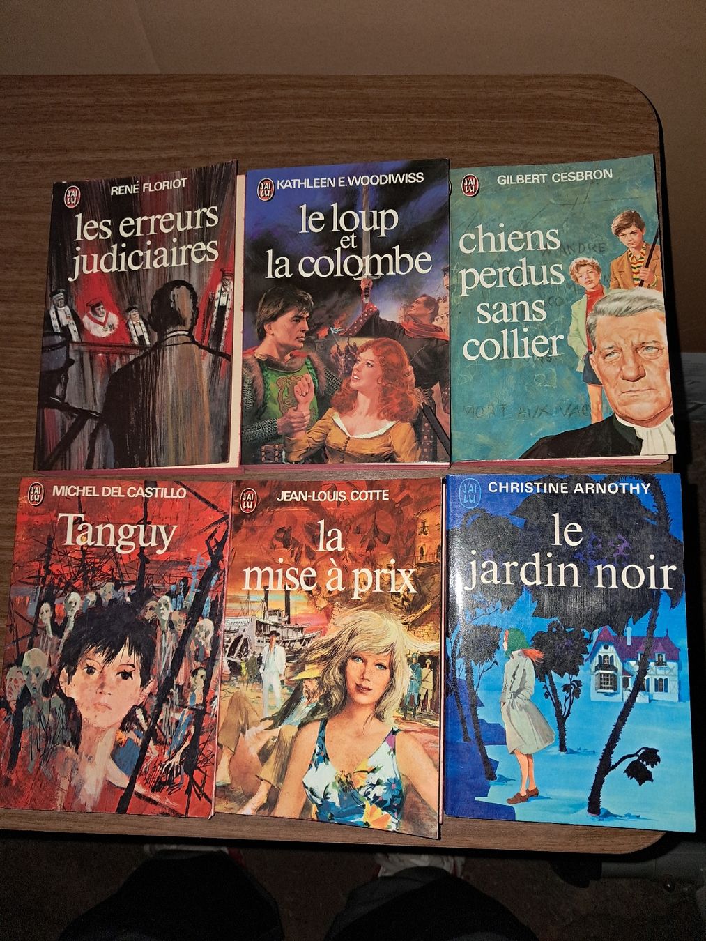 Bücher: Lot de 6 romans divers – Gebraucht aus Le locle von juliensaran