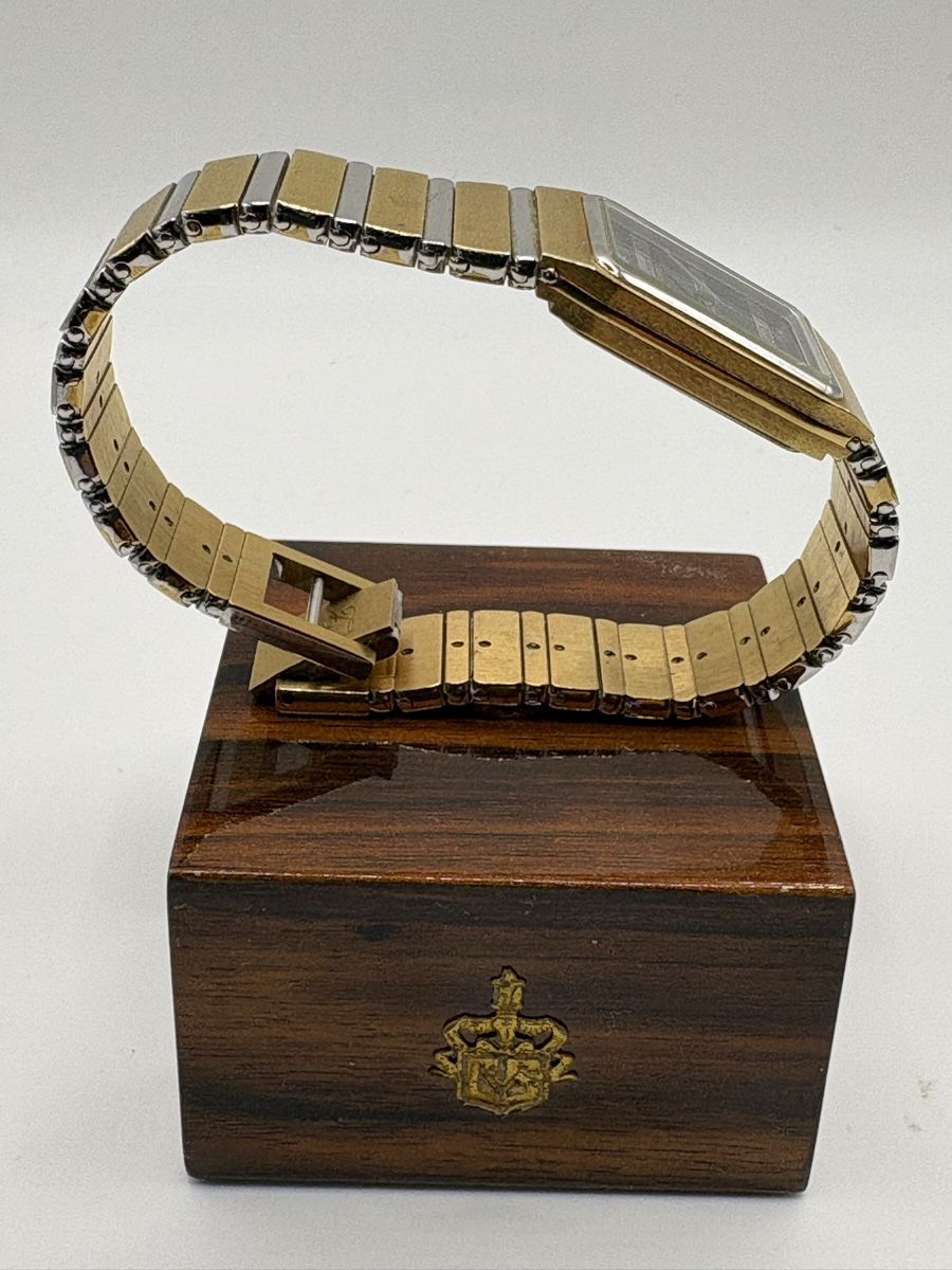 Swiss Orologi: Montre LÉONARD Genève  – Usato da Vevey venduto da carybde 1