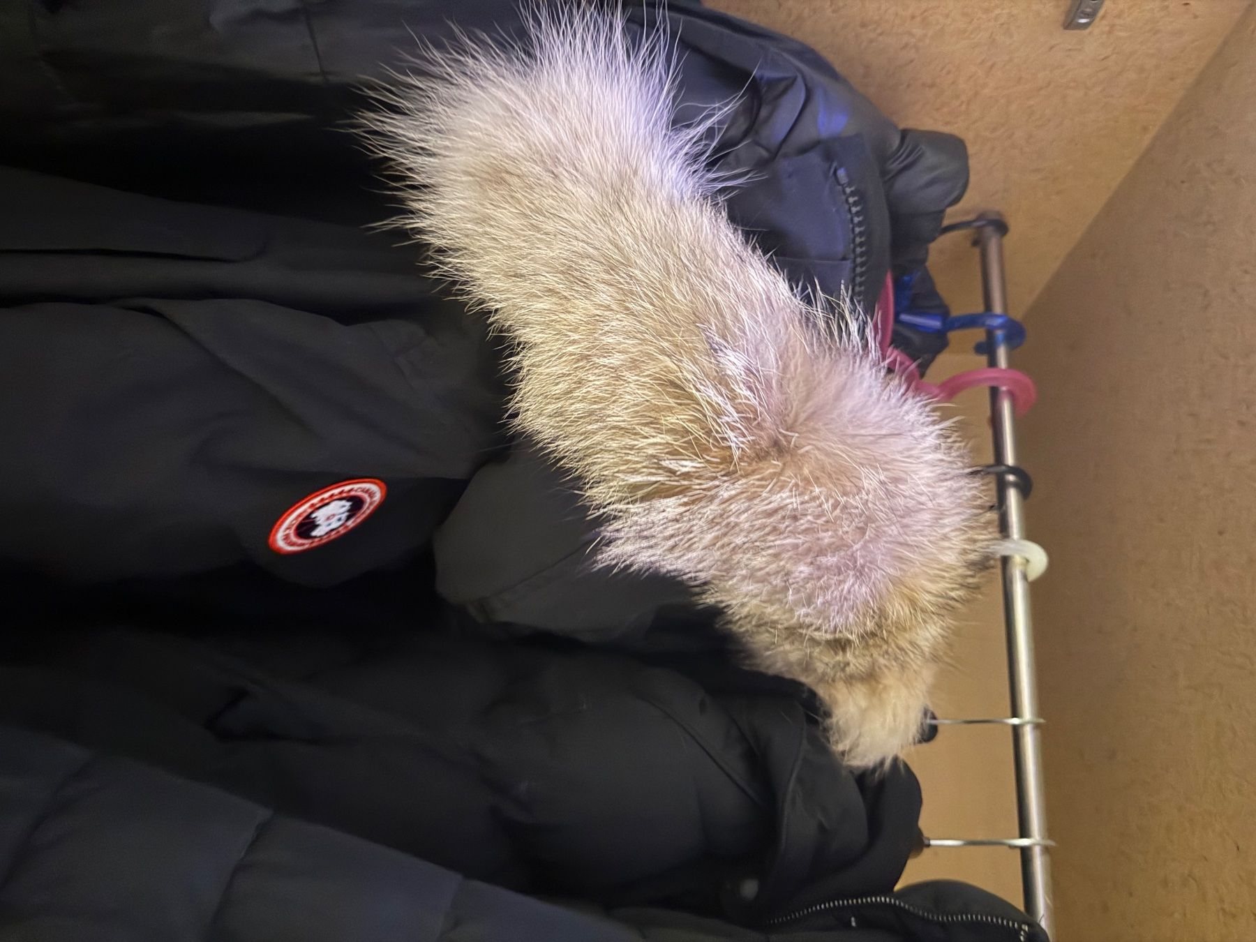 Giacche: Canada Goose Parka Schwarz XL – Nuovo (secondo la descrizione) da Windisch venduto da MDM-Escooterservice 2