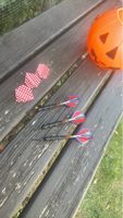 💎🎯Dartpfeile Set mit Ersatzflights 🎯💎