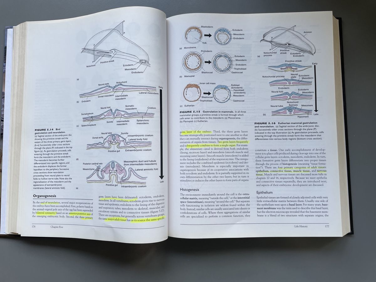 Libri: Vertebrates, Comparative Anatomy, Function, Evo von Kardong – Usato da Zürich venduto da ehupp 3