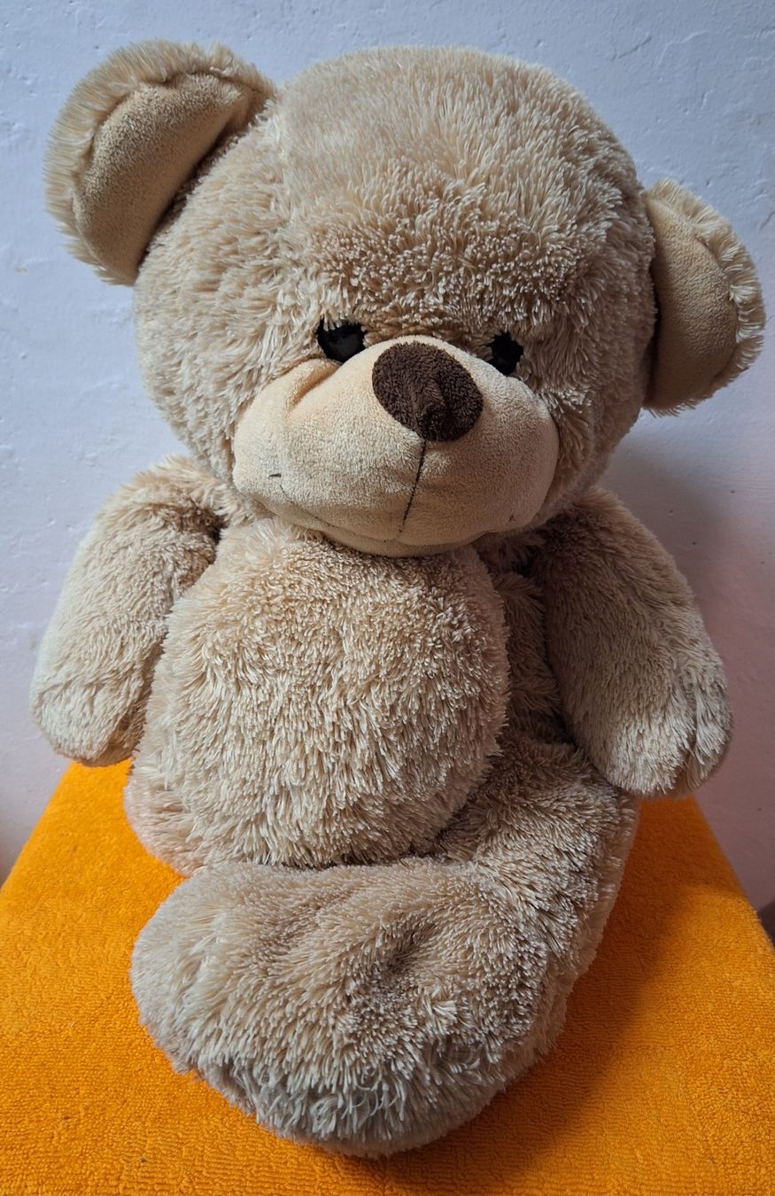 Giocattoli: Kuschel Bär, 63cm beige – Usato da Muri AG venduto da Edlerweiss 5