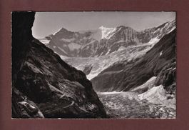 GRINDELWALD - Weg nach Bäregg - 1952