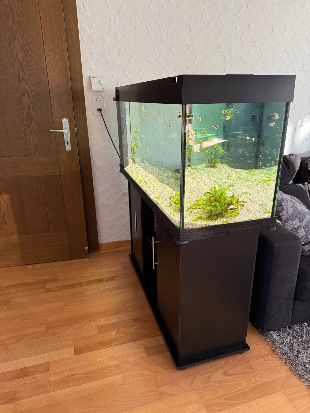 Wunderbar Aquarium Gebraucht Kaufen Ebenbild