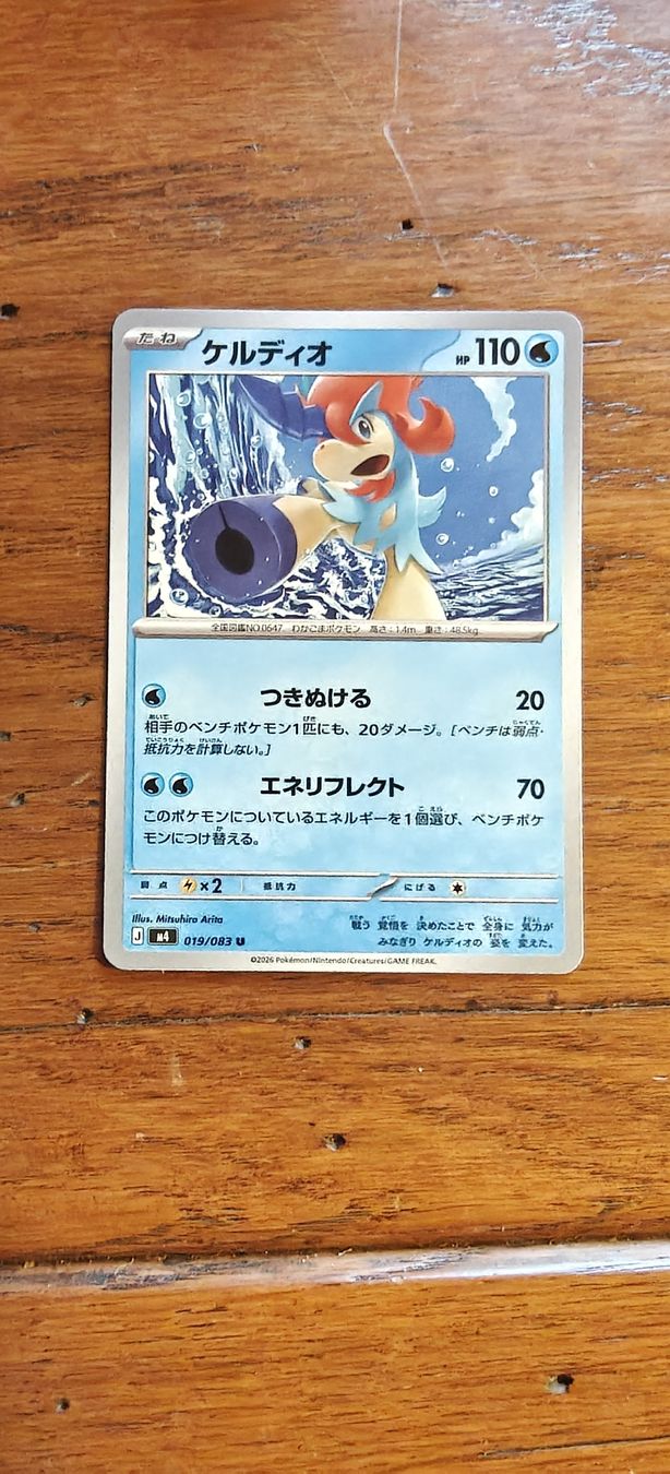 Pokémon Carte collezionabili: Pokemon Karten Set! japanisch! – Nuovo (secondo la descrizione) da Bützberg venduto da SchweizerFund