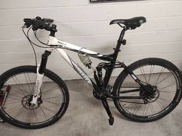 Damenbike Wheeler