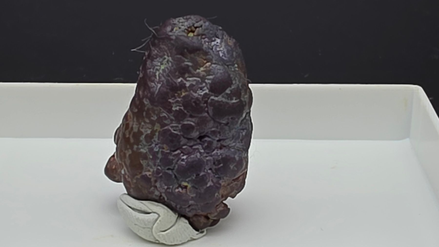 Mineralien & Heilsteine: Copper Botryoidal Formations - Arizona copper mine – Gebraucht aus Figino von panshop 4