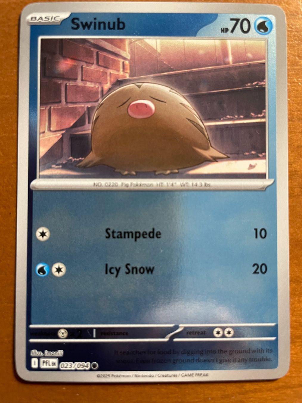 Pokémon Carte collezionabili: Pokemon Swinub Reverse (Versand gratis) – Nuovo (secondo la descrizione) da Chur venduto da Angerson