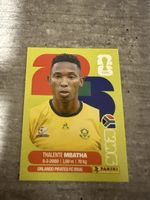 RSA 12 , FIFA WORLD CUP 2026 PANINI 