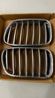 BMW X3 F25/F26 Nieren