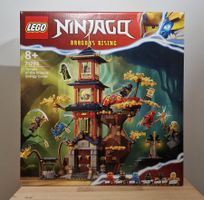 Lego Ninjago 71795 Temple of the Dragon Energy Cores