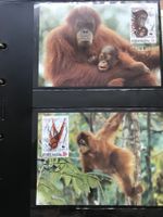 Indonesien 1989 WWF Satz Orang-Utan Maximumkarten