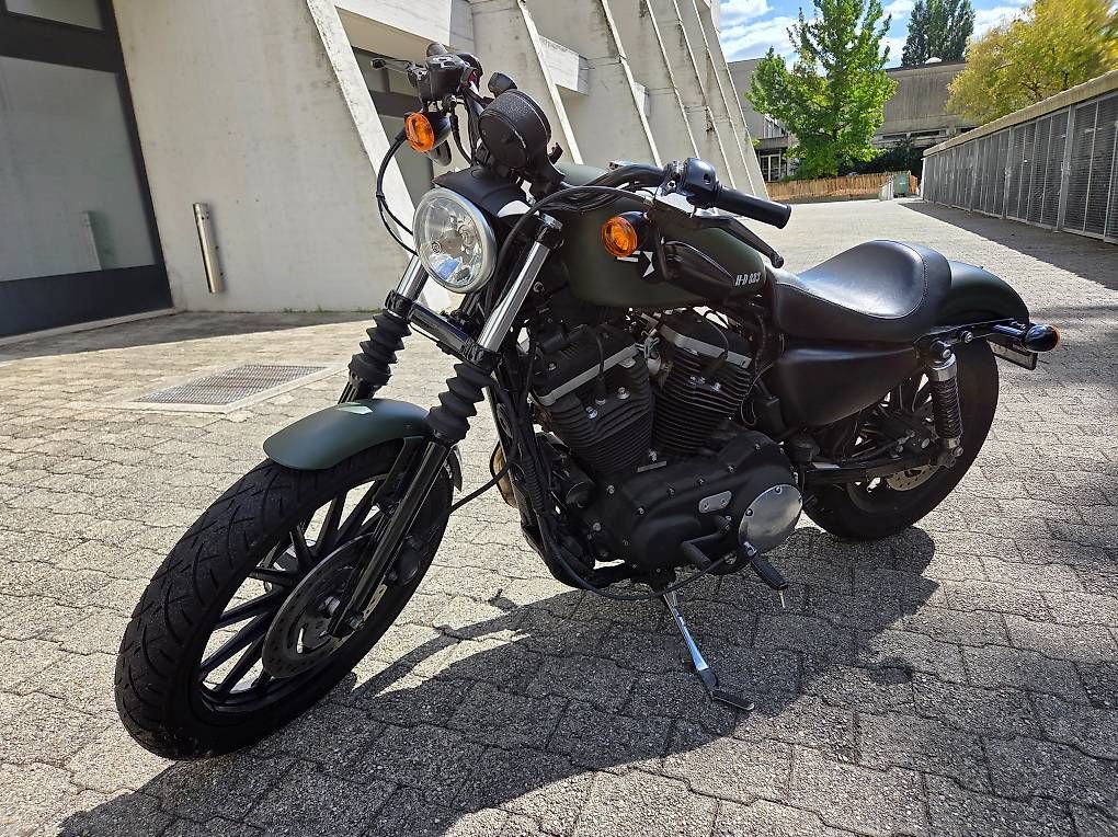 Cruisers: Harley-Davidson XL 883 – D'occasion à La Croix-de-Rozon par SDI_83 3