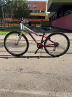 Kindervelo Crosswave Prime Rider 24"