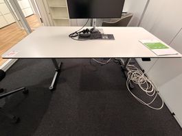 USM Bürotisch (Lot 81) 8304 Wallisellen