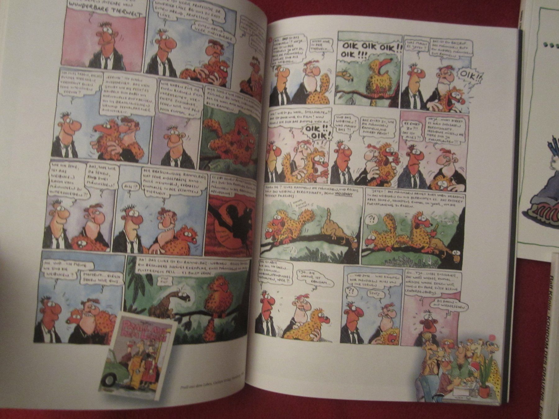 Fumetti: 4 X RALF KÖNIG-COMIC-LOT( – Usato da Volketswil venduto da nemo2000 1