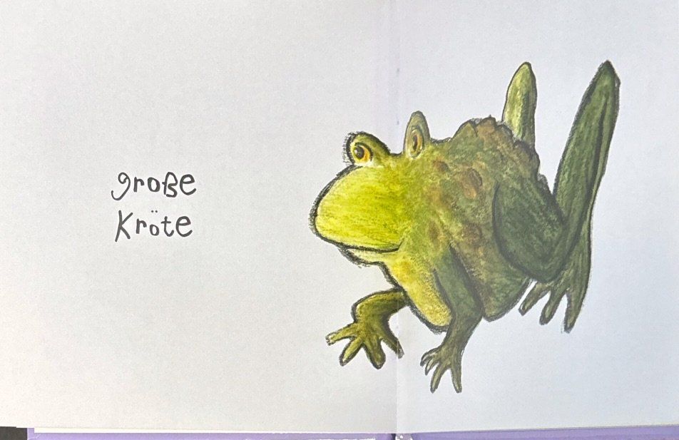 Libri: Kleiner Frosch – Nuovo (secondo la descrizione) da Sarnen venduto da Livres 4