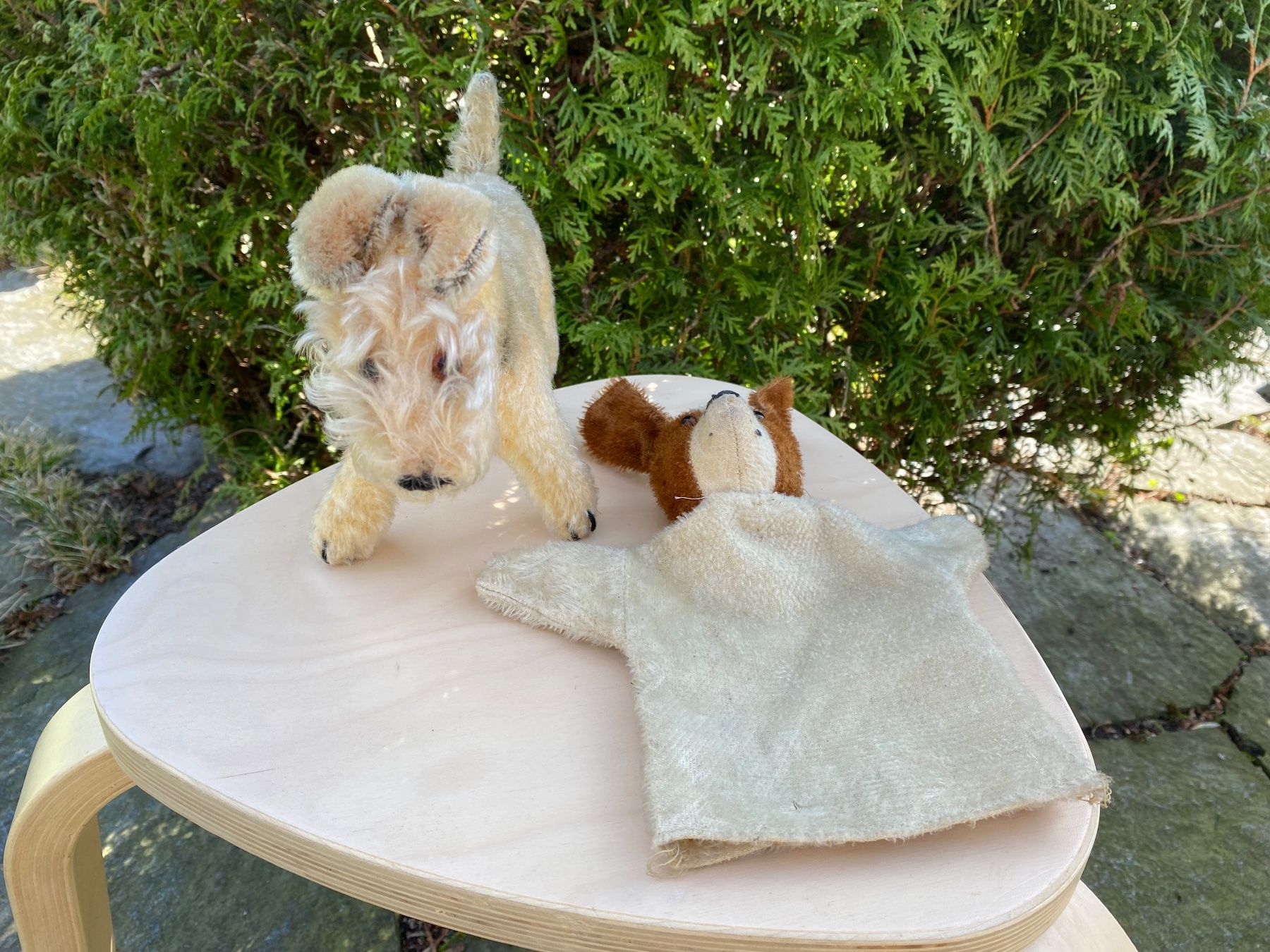 Giocattoli: antiker Terrier und Handpuppen-Hund – Usato da Feldbach venduto da Olive1 4
