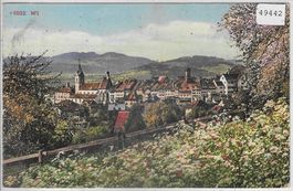 Wil - Generalansicht im Sommer - Litho