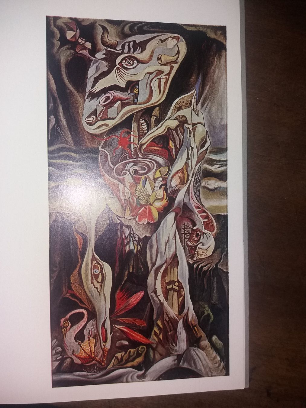 Bücher: KUNSTKLASSIKER Andre Masson 1965 deutscher text – Gebraucht aus Welschenrohr von Regool 5