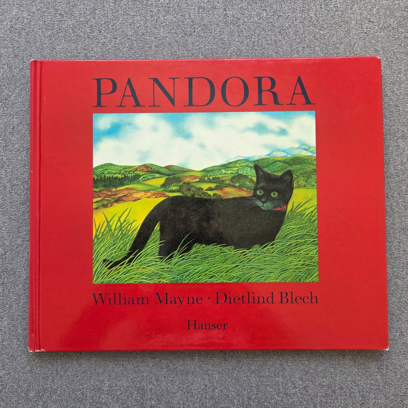 Livres: Pandora Kinderbuch – D'occasion à St.Gallen par Its.eli035