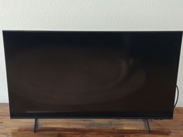 Samsung Fernseher 43 Zoll