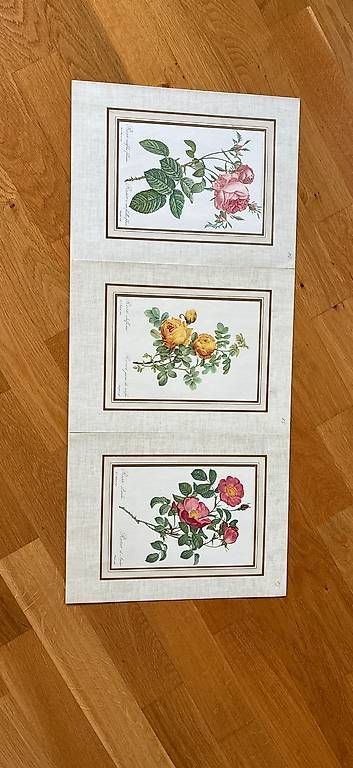 Foto & Immagini: 3 Vintage Rosenbilder – Usato da St. Gallen venduto da Sirii9000 3
