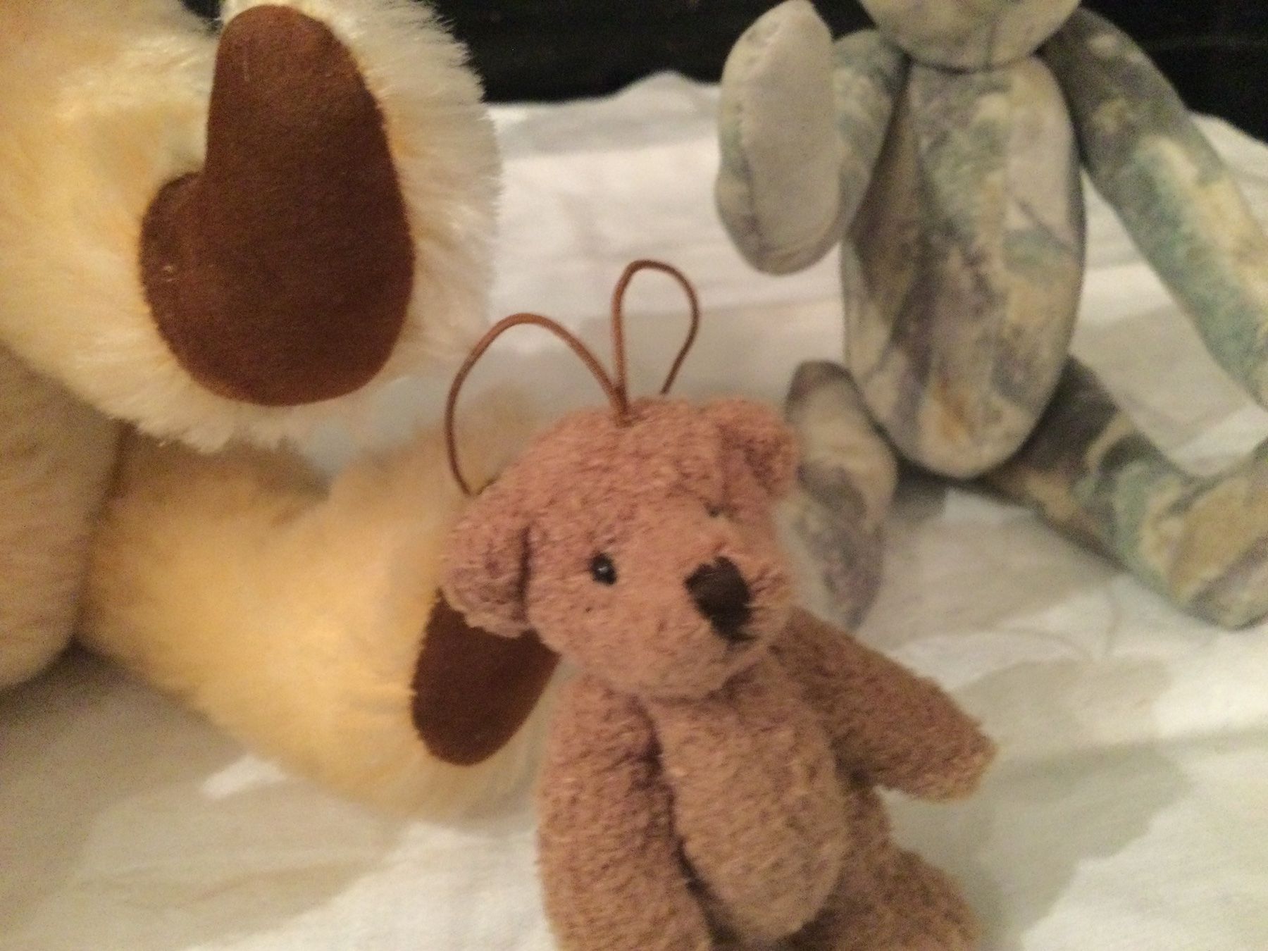 Giocattoli: Teddybären – Usato da Münchenbuchsee venduto da kruseli 3