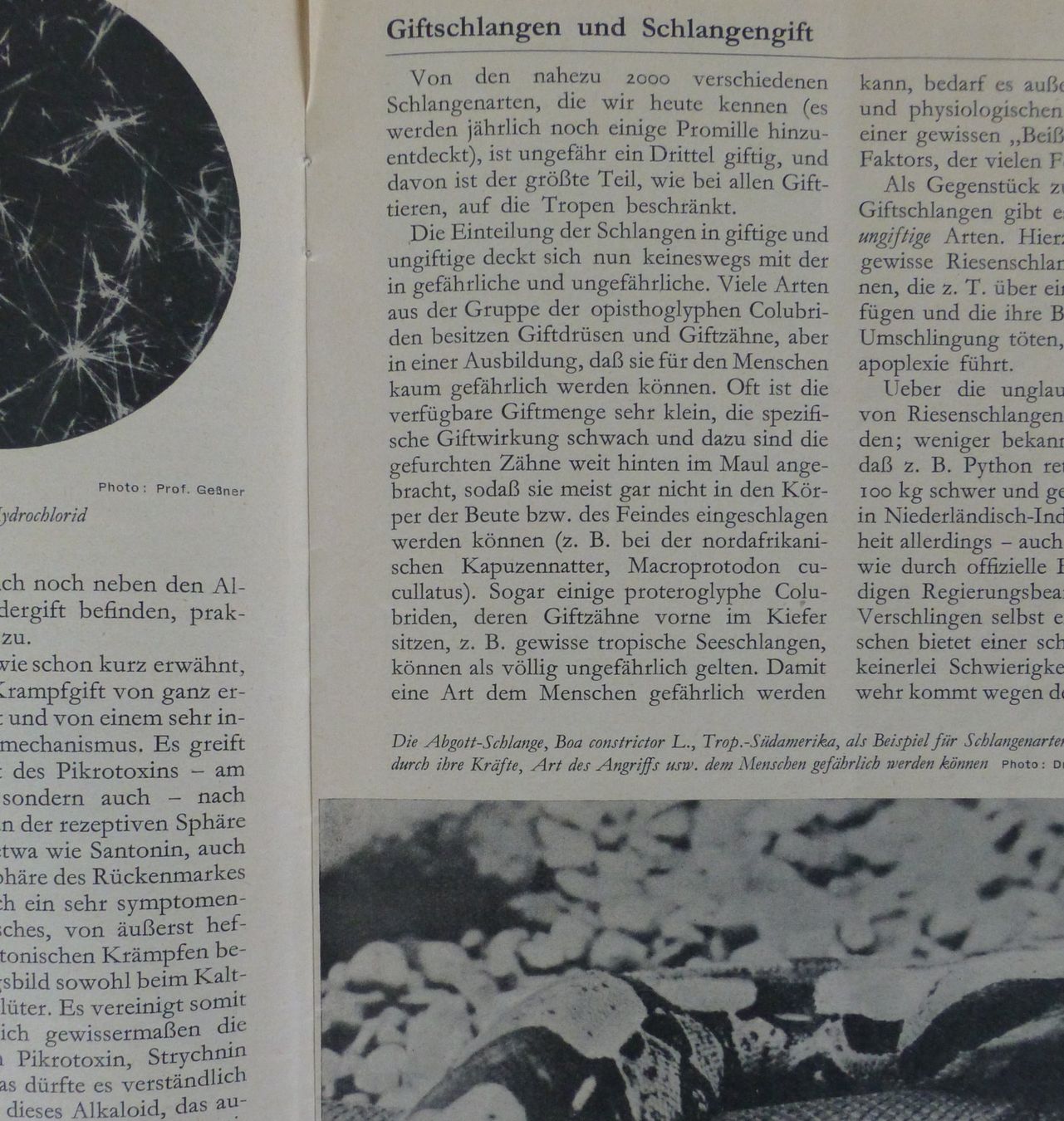 Riviste & Magazine: Ciba Zeitschrift von 1934 – Usato da Basel venduto da Falconis 3