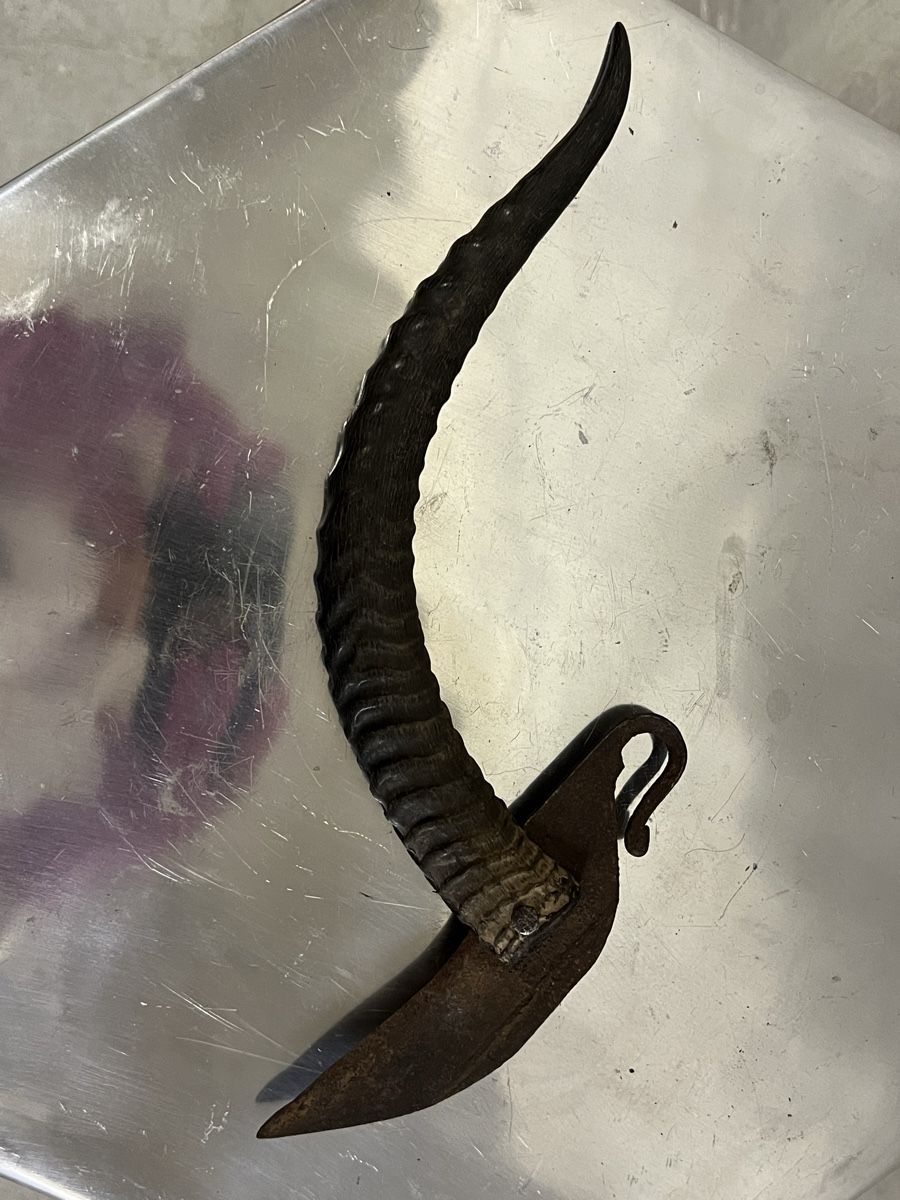 Accessori: Altes Jagdmesser mit Horn Griff ca 25cm"}," – Usato da Zürich venduto da Privat_13 2