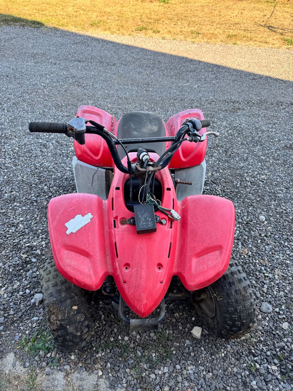 Mini Quad: Kinder Quad rot Marke Dino – Usato da Kümmertshausen venduto da zeh_9mp7 2