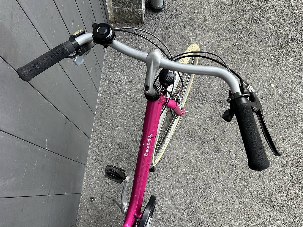 Velos: Bicicletta da donna Cresta 28  – Gebraucht aus Quartino von DiloUsato 5