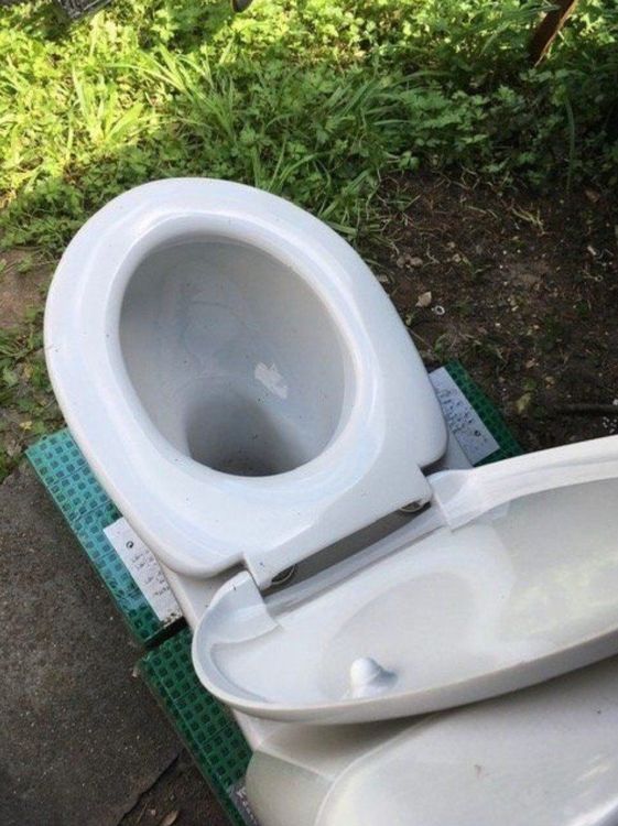 Al Bundy Ferguson 3000 Stand WC Kaufen auf Ricardo