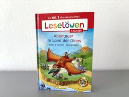 Kinderbuch Leselöwen 1. Klasse Abenteuer im Land der Dinos