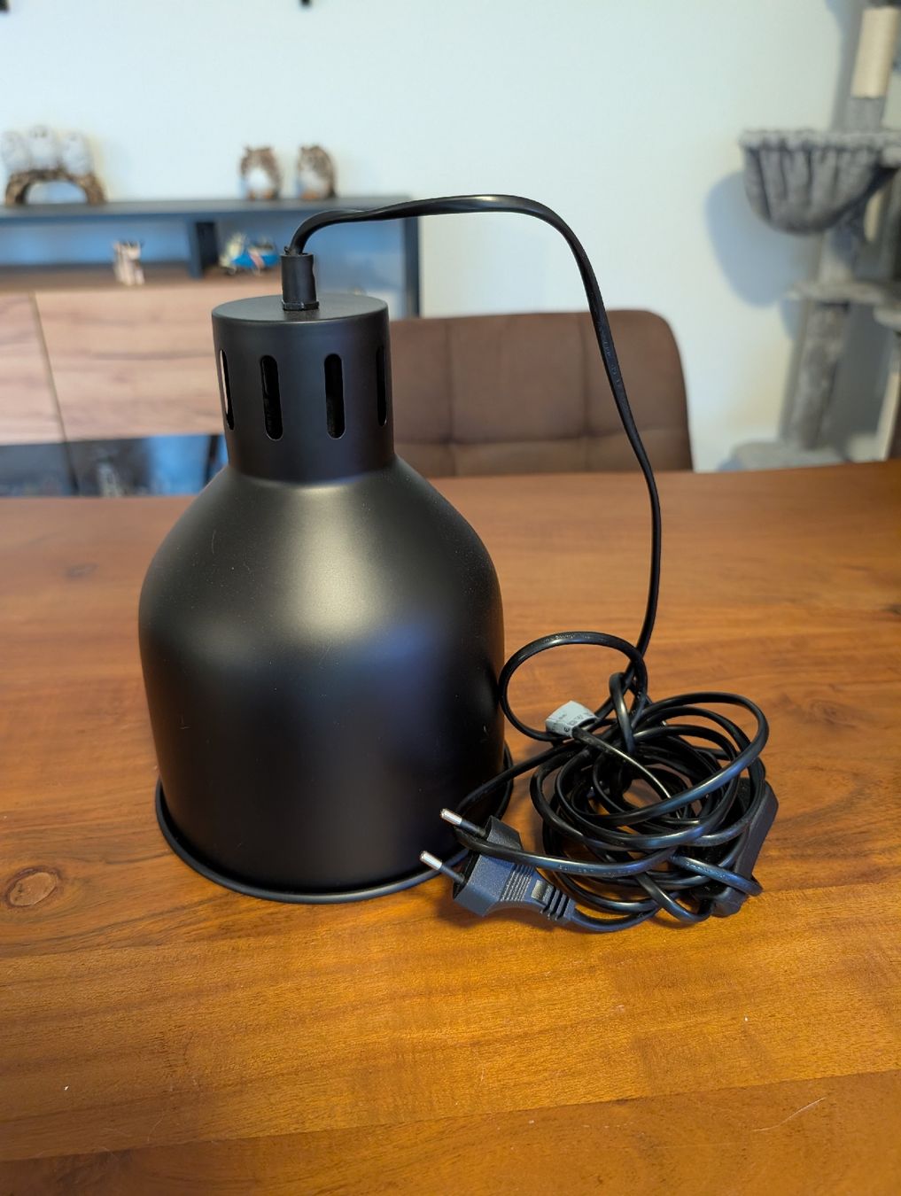 Lampade: Pflanzenlampe – Nuovo (secondo la descrizione) da Reinach BL venduto da jas_ww6d