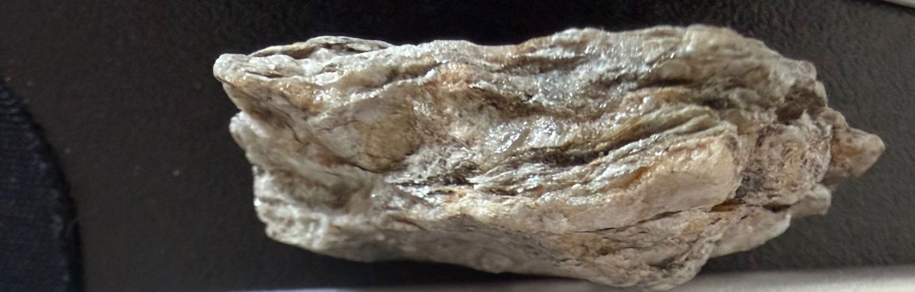 Minerali & Pietre curative: Fibrolit, Namibia (5.15) – Nuovo (secondo la descrizione) da Muri b. Bern venduto da Gemmes
