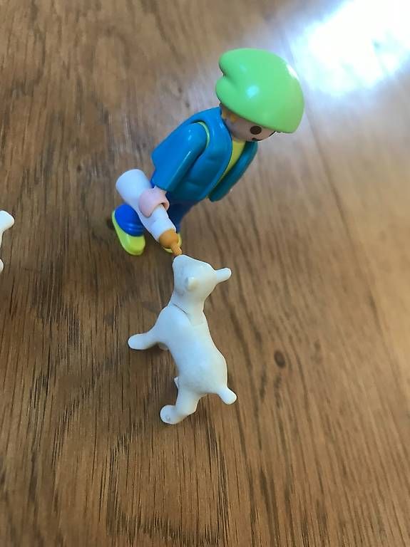 Giocattoli: Playmobil Hühnerstall – Usato da Romont BE venduto da chrinou 3